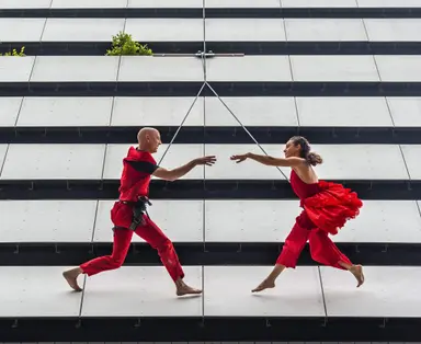 Danse verticale — 3