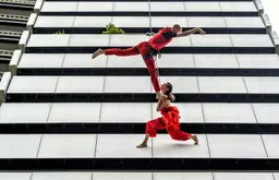 Wall dance — 1