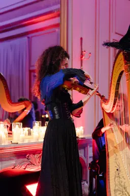 Harp & Violin Duo — 2