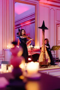 Harp & Violin Duo — 3
